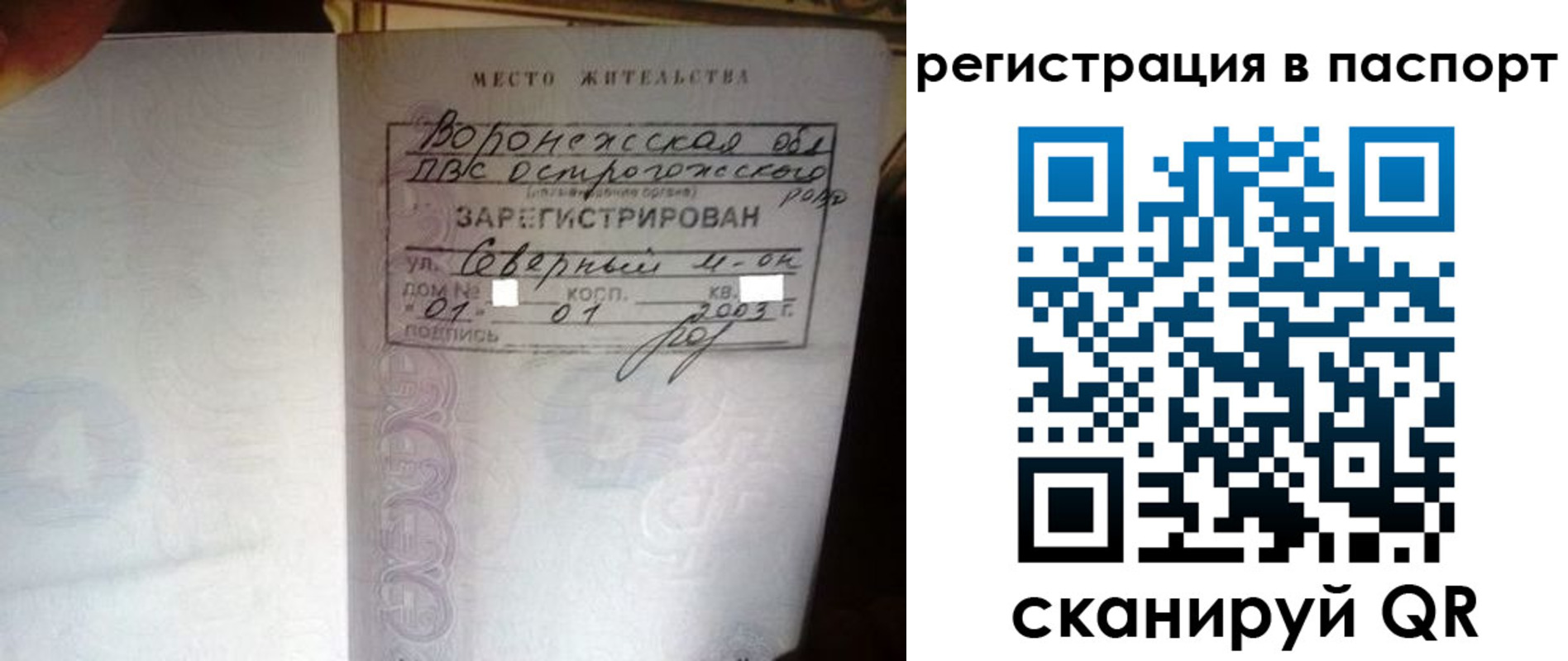 прописка для школы в Ясногорске